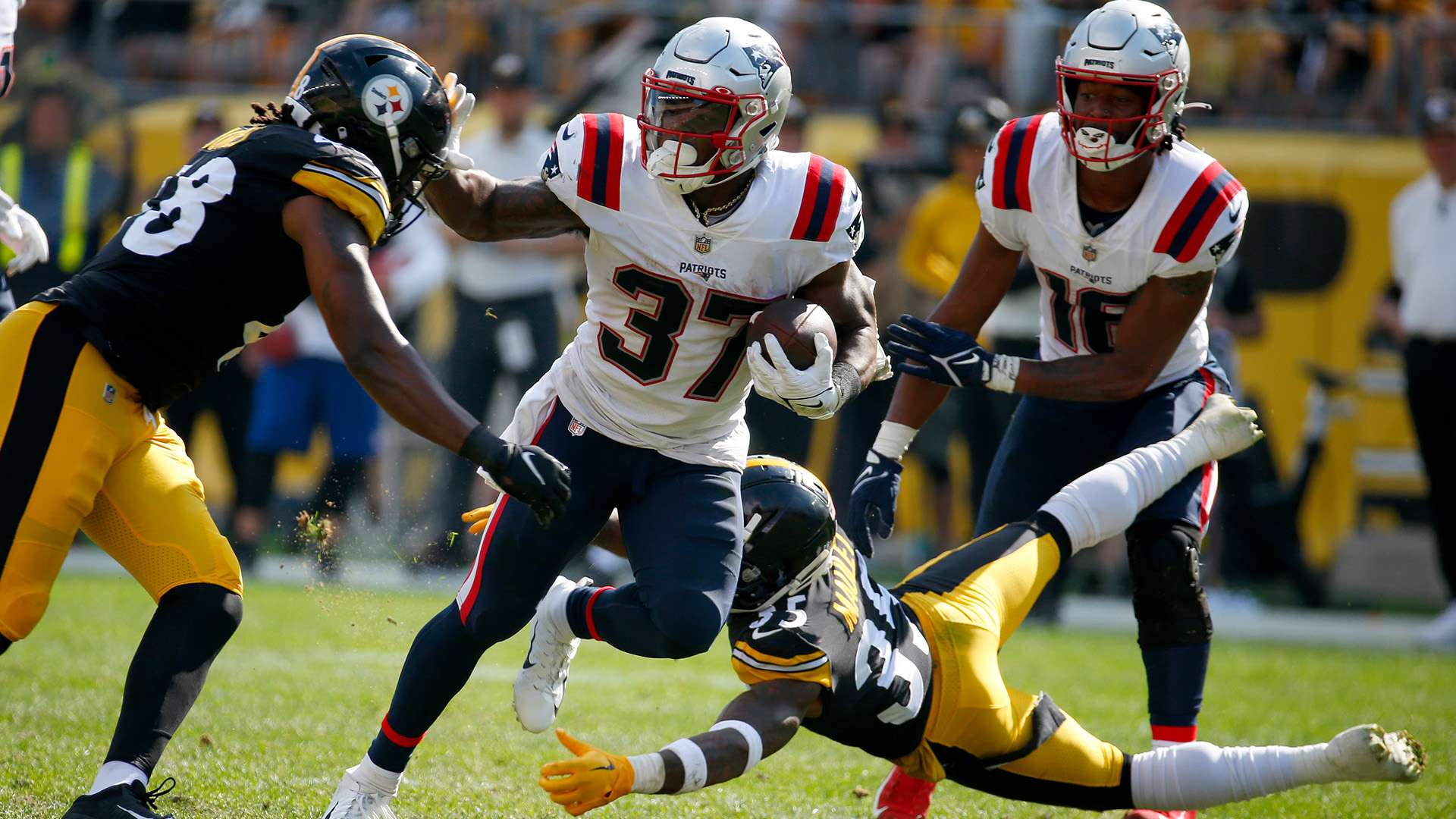 尤其是本菲 尤其是本菲